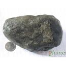 赌石, 松花, 蟒带表现 老坑翡翠原石MWJ556