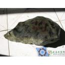 半赌莫湾基场口 老坑翡翠原石 MWJ560