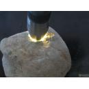 达摩坎,老坑翡翠毛料,云南赌石 D709